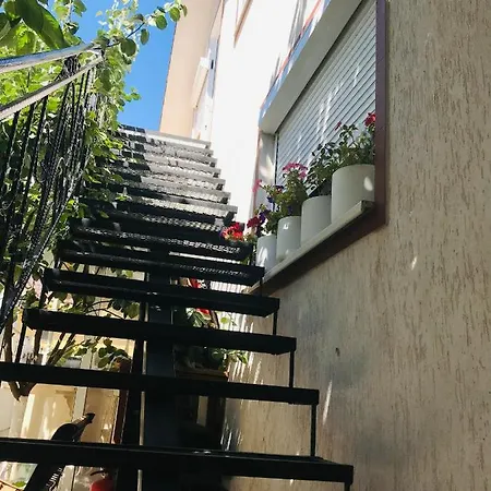 ホームステイ Casa Ardelean