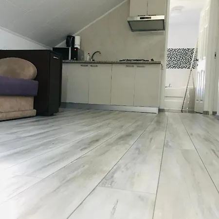 ホームステイ Casa Ardelean ナボダリ